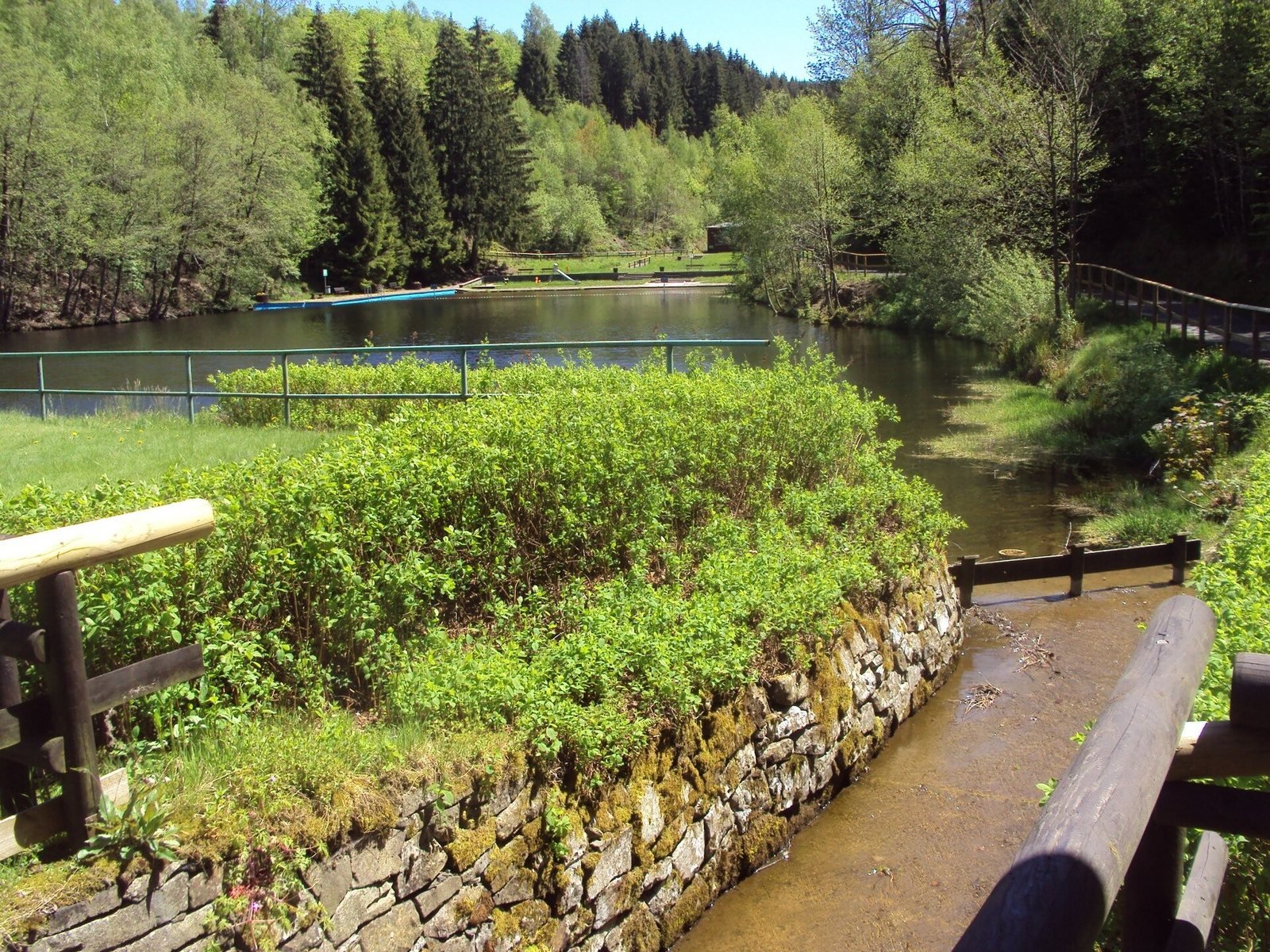 Der Okerteich mit klarem Wasser, umgeben von grünem Wald.